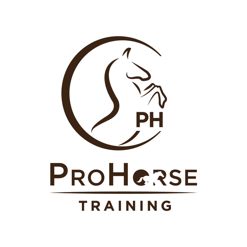 The JPcreative_Logo Design_ Pro Horse Training